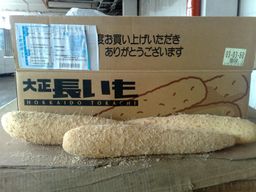 Japan Hokkaido tokachi huai shan 