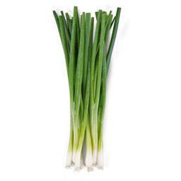 Onions (RED, Yellow, Shallots, Scallion, Spring Onion) - 洋葱, 大葱, 青葱