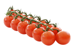 Holland Cherry Tomatoes on Vines - 葡萄藤上的樱桃番茄