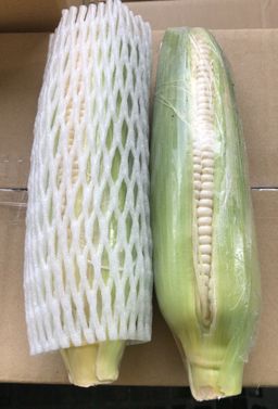 AAA grade White corn