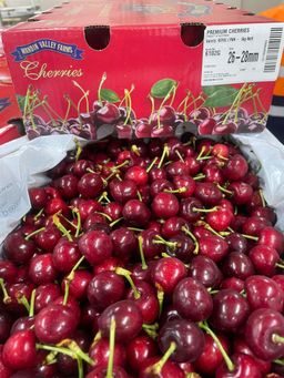 Australia cherry 26mm to 28mm (approx 500g)