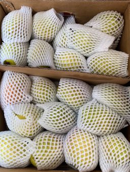 🍐库尔乐香梨 Pears -$19/1箱/~6.5-7kg