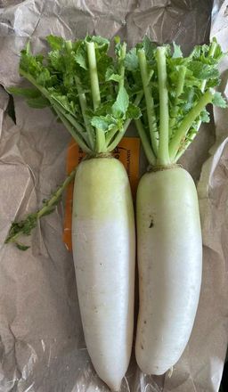 白萝卜 -$5/1kg