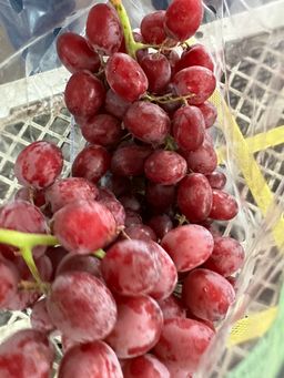 USA Allison seedless Red Grapes 1kg O
