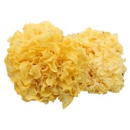 Asam Keping, Black Fungus and White Fungus - 梅酸片, 黑木耳 和 银耳