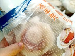 半壳扇贝 Halfshell Scallops