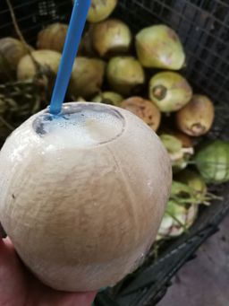 R1- Ready to drink (Malaysia)