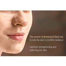 Pyunkang Yul Black Tea Revitalizing Mask Pack 25ml x 10