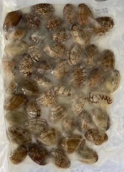 啦啦 Frozen Clam -$9/3包/500g