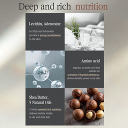 Pyunkang Yul Black Tea Revitalizing Mask Pack 25ml x 10