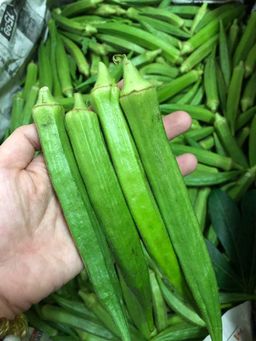 OKRA / BENDI 羊角豆