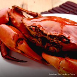 Seafood-Lover Feast by Chef KT (6-Course feast)