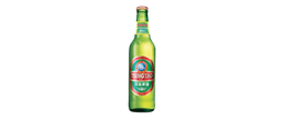 Tsingtao Beer 600ml Bottle 青岛啤酒 600ml 大瓶装 
