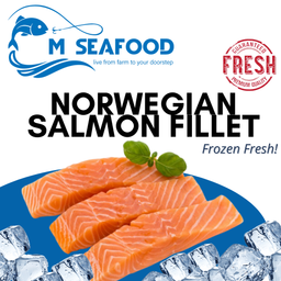 Premium Norwegian Salmon Filet (三文鱼肉) 