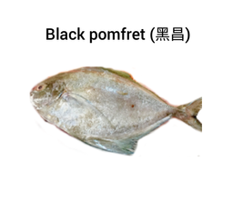 Black pomfret (黑昌)
