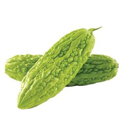 Cucumber, Hairy Gourd, Bitter Gourd - 黄瓜 , 毛瓜 , 苦瓜 