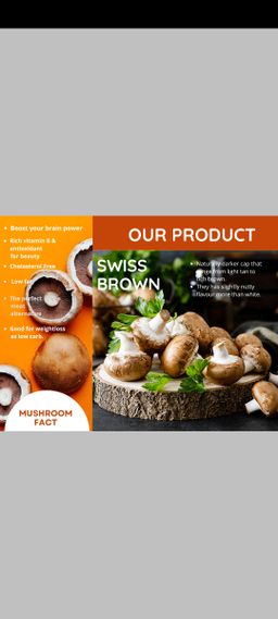 Local organic mushroom 