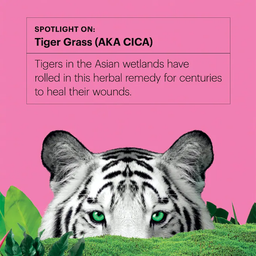 Dr Jart+ Cicapair ™ Tiger Grass Camo Drops Color Corrector SPF 35 30ml