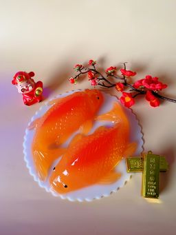 Koi Fish agar agar 