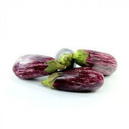 Baby Brinjal - 迷你小茄子