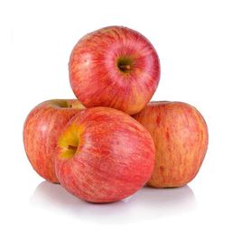 Apples (NZ Envy, China Fuji, Royal Gala, SA Green) - 苹果