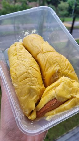 Black Gold Mao Shan Wang 黑金猫山王 (400g)