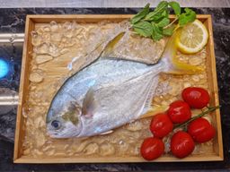 Fresh Fishes from Kukup Kelong Sea 