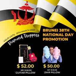 Baby Pian National Day Promotion