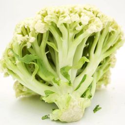 🥦有机花菜 -$7/kg