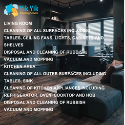 Basic Cleaning Package