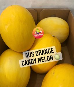 AUS ORANGE CANDY MELON (L)