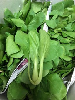 XIAO PAK CHOY 小白菜