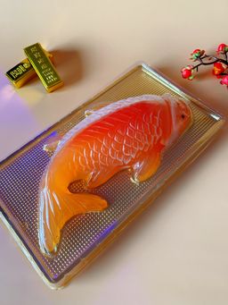 Koi Fish agar agar 
