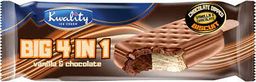 QUALITY BIG 4IN1 VANILA CHOCOLATE ice cream