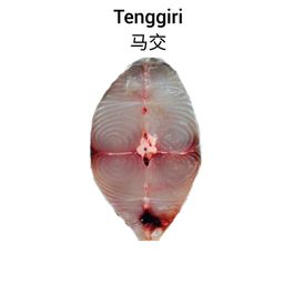 Tenggiri [cut] 马交