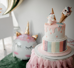 Birthday Photo/Videography