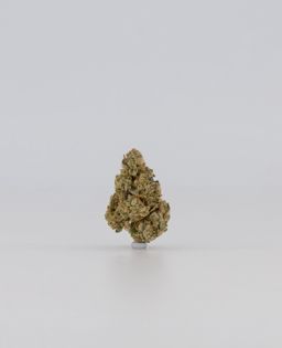 PŸP PREMIUM CANNABIS