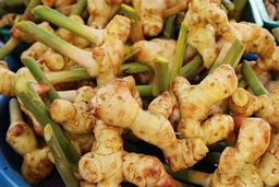 Ginger, Tumeric - 姜, 姜黄