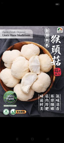 Local organic mushroom 