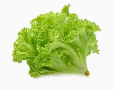 Lettuce