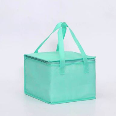 Cooler Bag with Ice Pack