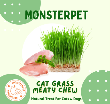 Cat Grass Meaty Chew🐱