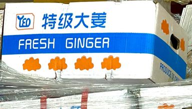 Ginger 姜