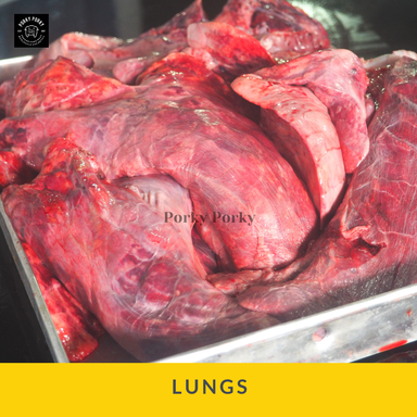 Lungs / Paru – paru 