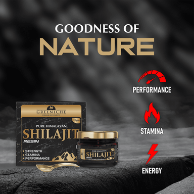 Greeniche Himalayan Shilajit Resin for Performance| Strength, Power & Stamina| 20g