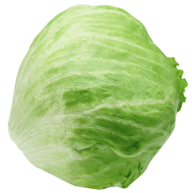 Iceberg Lettuce