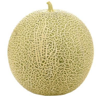 Melon