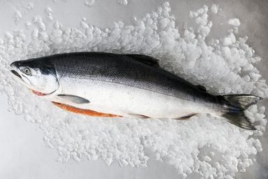 Wild Salmon, Whole Fish / kg