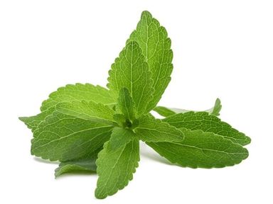 Daun Stevia / 100 gr