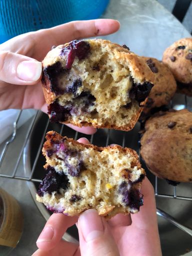 sourdough blueberries muffins